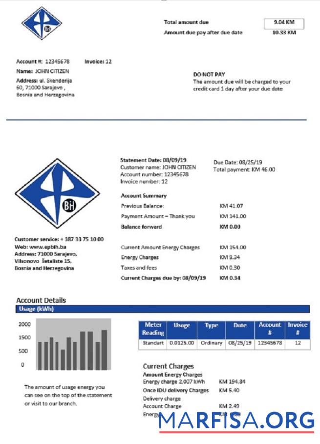 Printable Bosnia and Herzegovina Elektroprivreda BiH electricity utility bill example